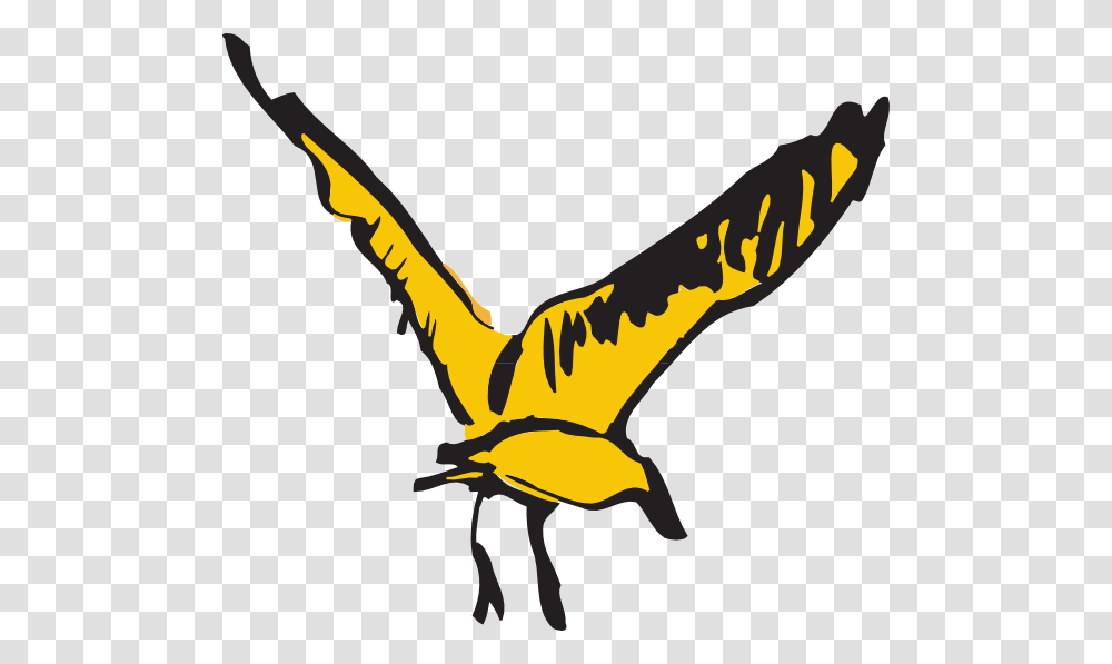 Bird, Flying, Animal, Beak, Vulture Transparent Png