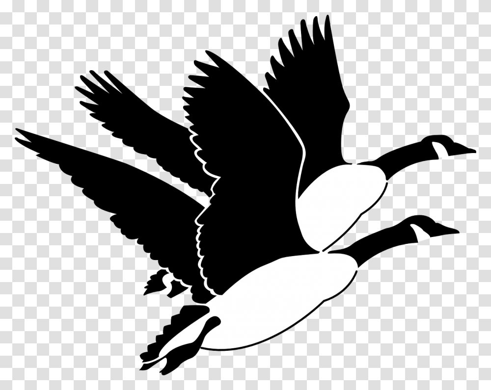 Bird Flying Canadian Geese Clipart, Silhouette, Stencil, Pillow, Cushion Transparent Png