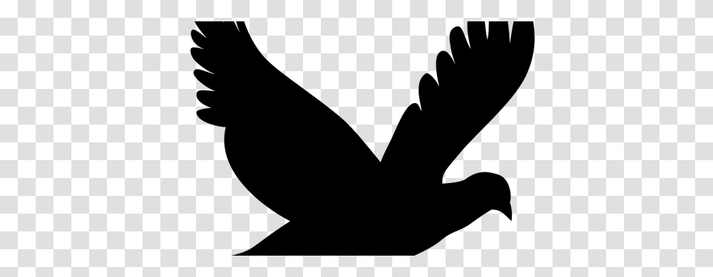 Bird Flying Clipart Common Raven Flight Clip Art Crow Download, Gray, World Of Warcraft Transparent Png