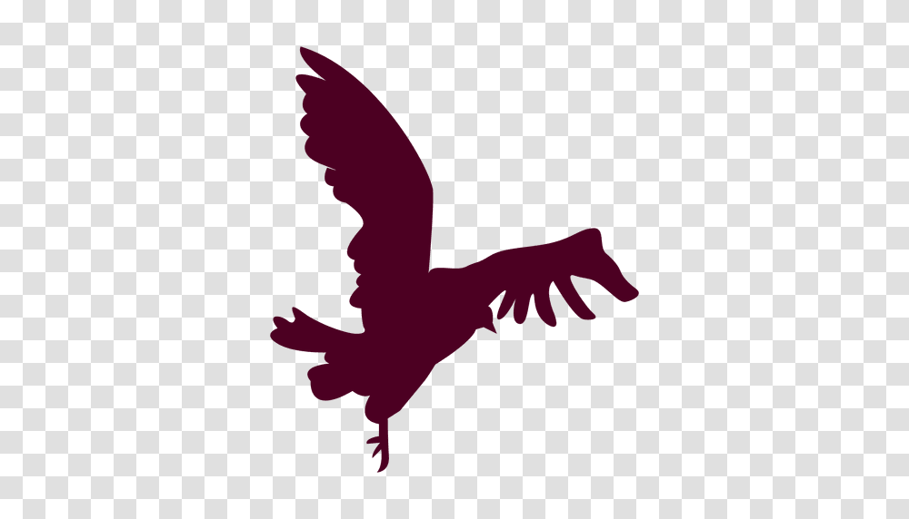 Bird Flying Close To Landing Silhouette, Animal, Eagle Transparent Png