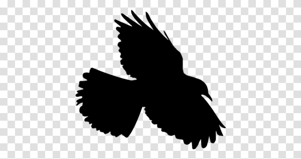 Bird Flying Flyingbird Silhouette, Nature, Outdoors, Night, Astronomy Transparent Png