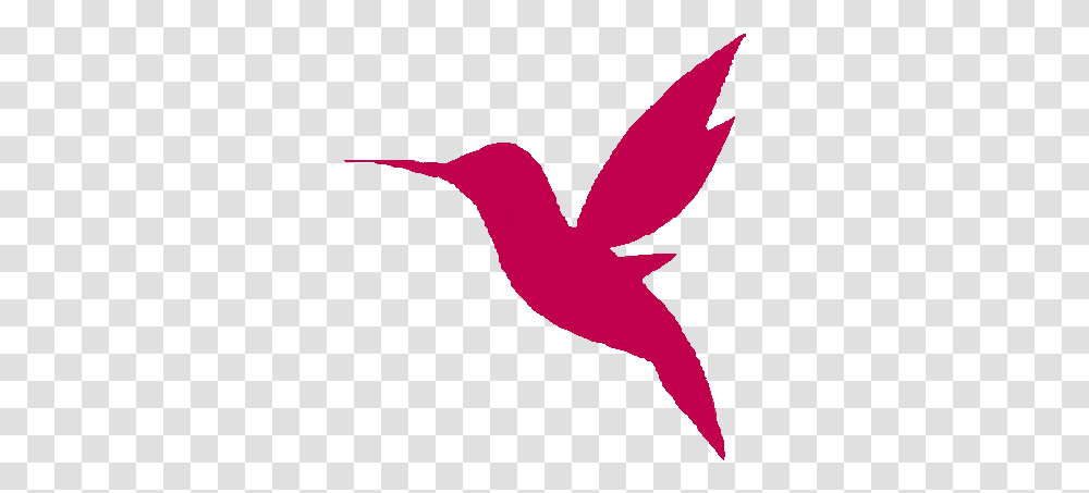 Bird Flying Gif Bird Flyingbird Hummingbird Bee Hummingbird, Animal, Flamingo, Person, Human Transparent Png