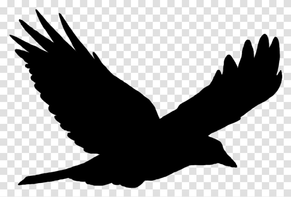 Bird Flying Image Nastenne Kovove Hodiny Tichy Chod, Gray, World Of Warcraft Transparent Png