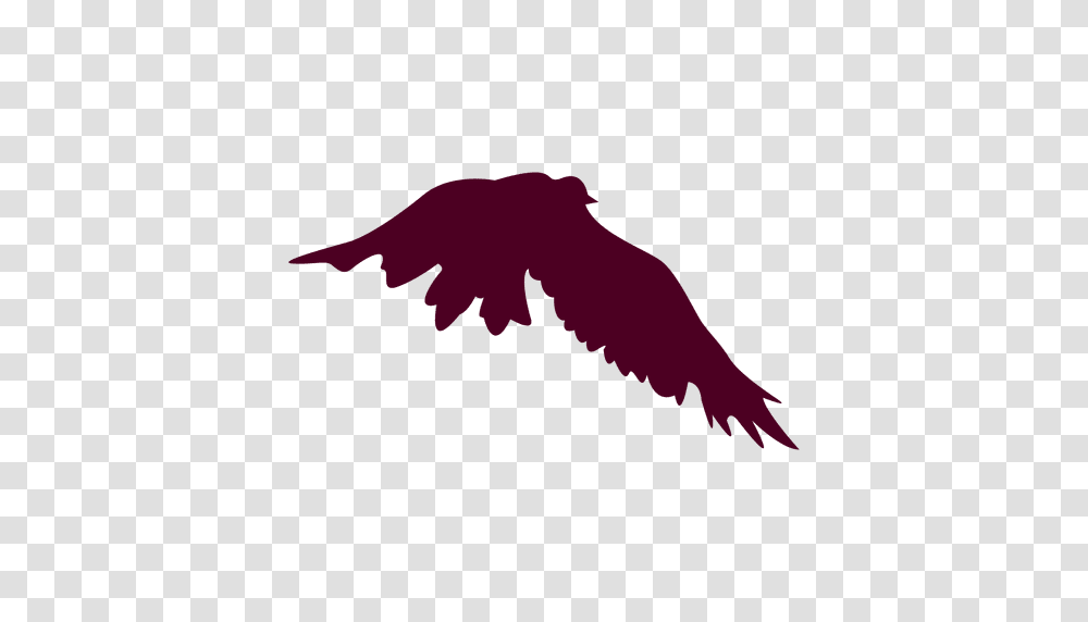 Bird Flying Sequence, Silhouette, Animal, Eagle Transparent Png