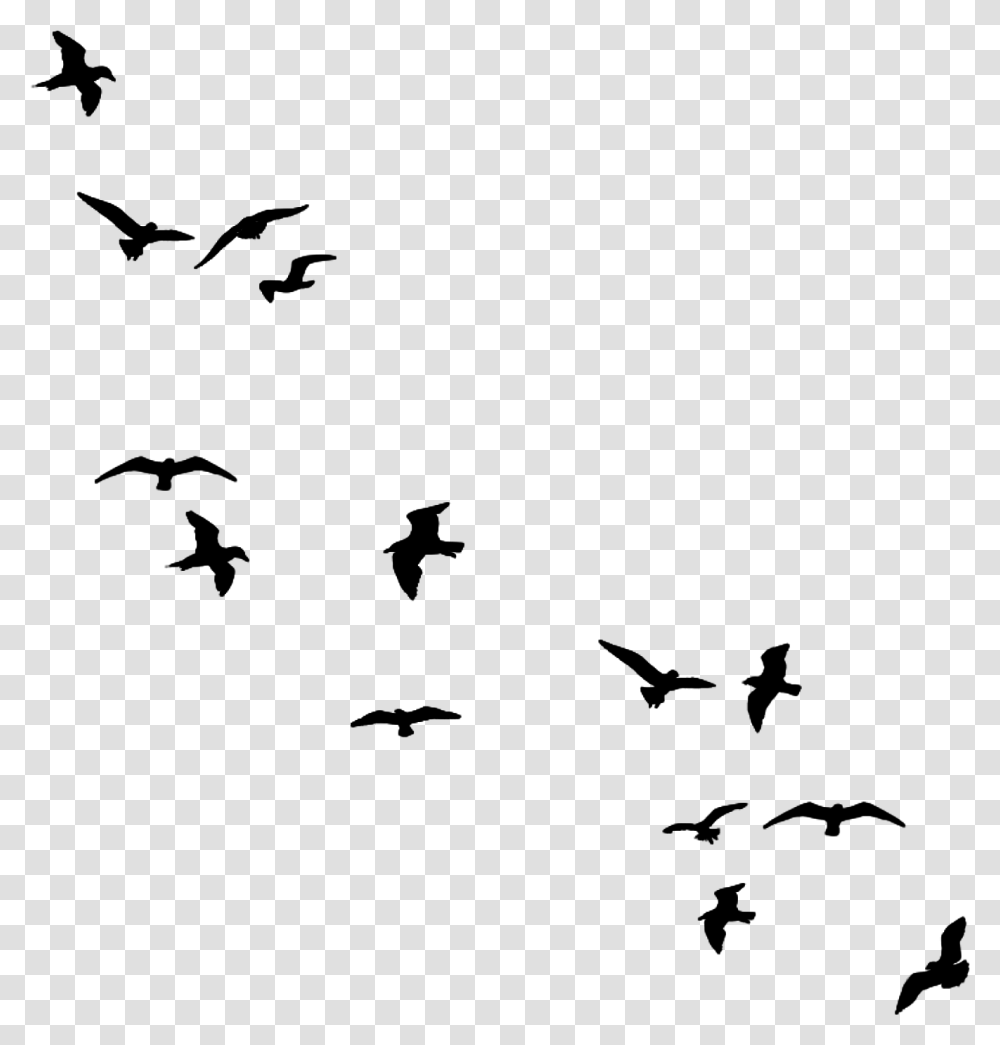 Bird Flying Silhouette, Gray, World Of Warcraft Transparent Png
