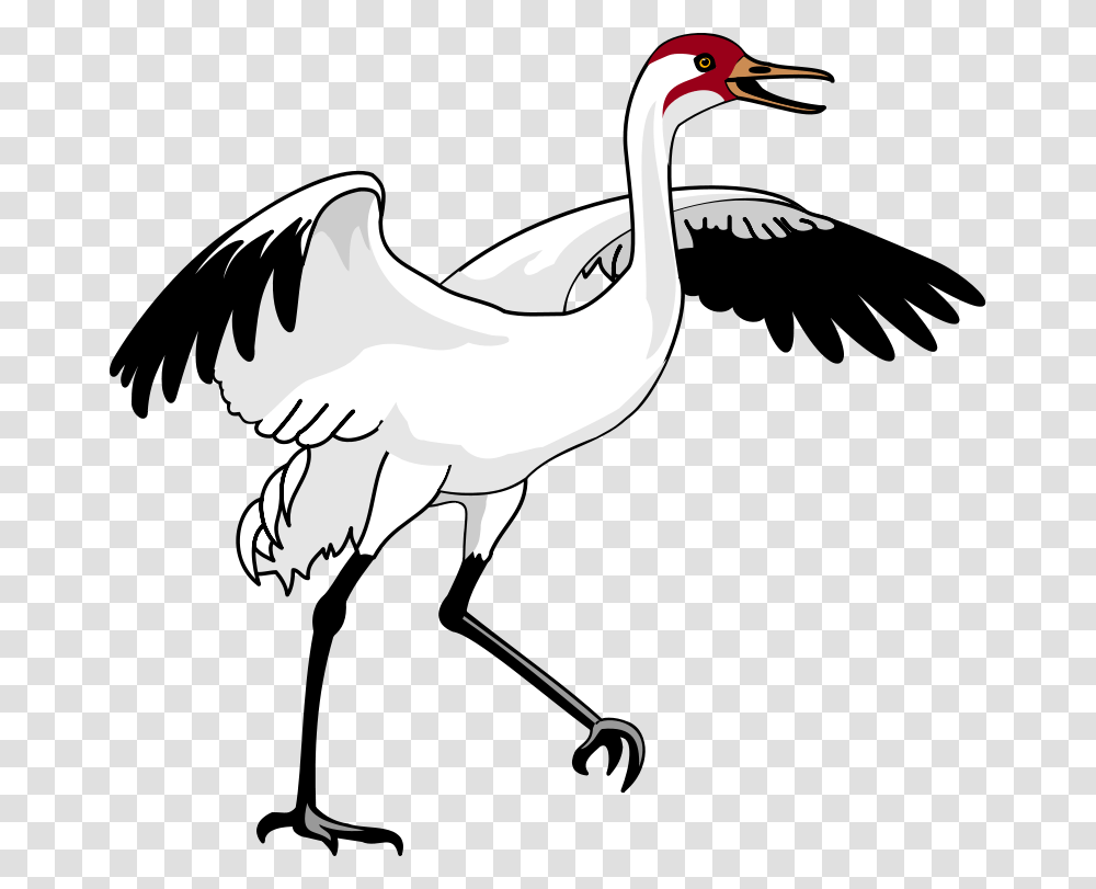 Bird Free Vector, Animal, Crane Bird, Stork Transparent Png