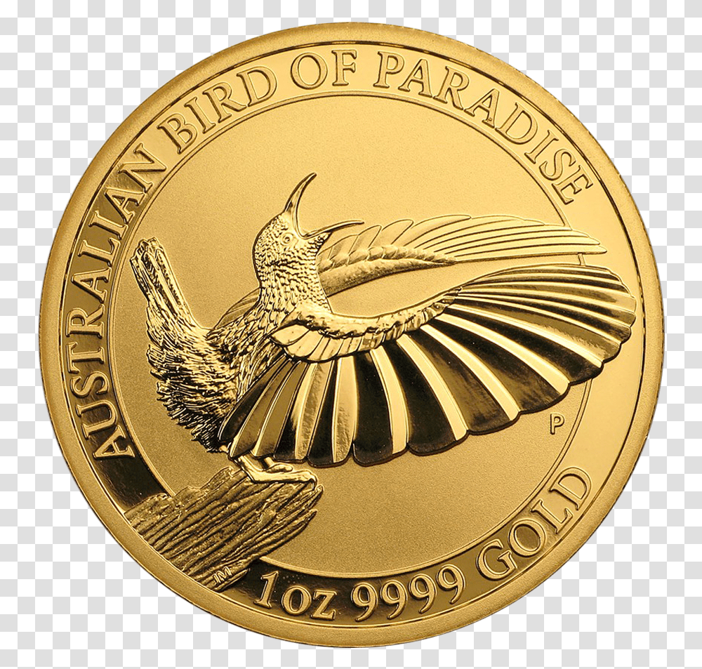 Bird Gold Coin, Money, Animal Transparent Png