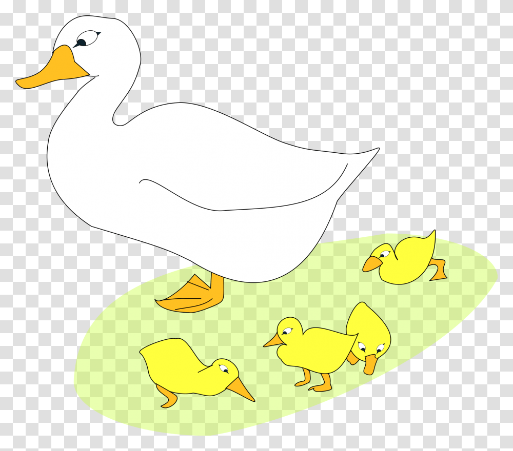 Bird Goose Gosling Free Picture Goose And Gosling Clipart, Duck, Animal Transparent Png