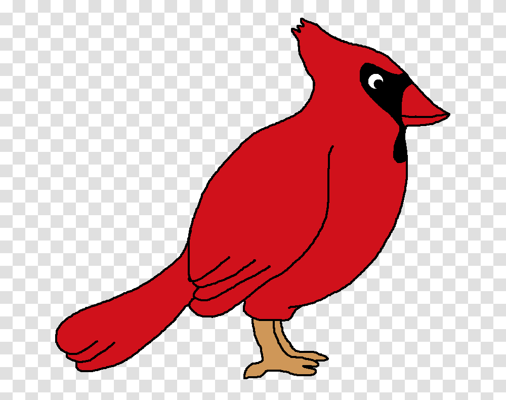 Bird Graphic, Cardinal, Animal Transparent Png