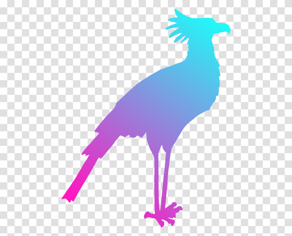 Bird Gulls Silhouette Drawing Art, Animal, Flamingo Transparent Png
