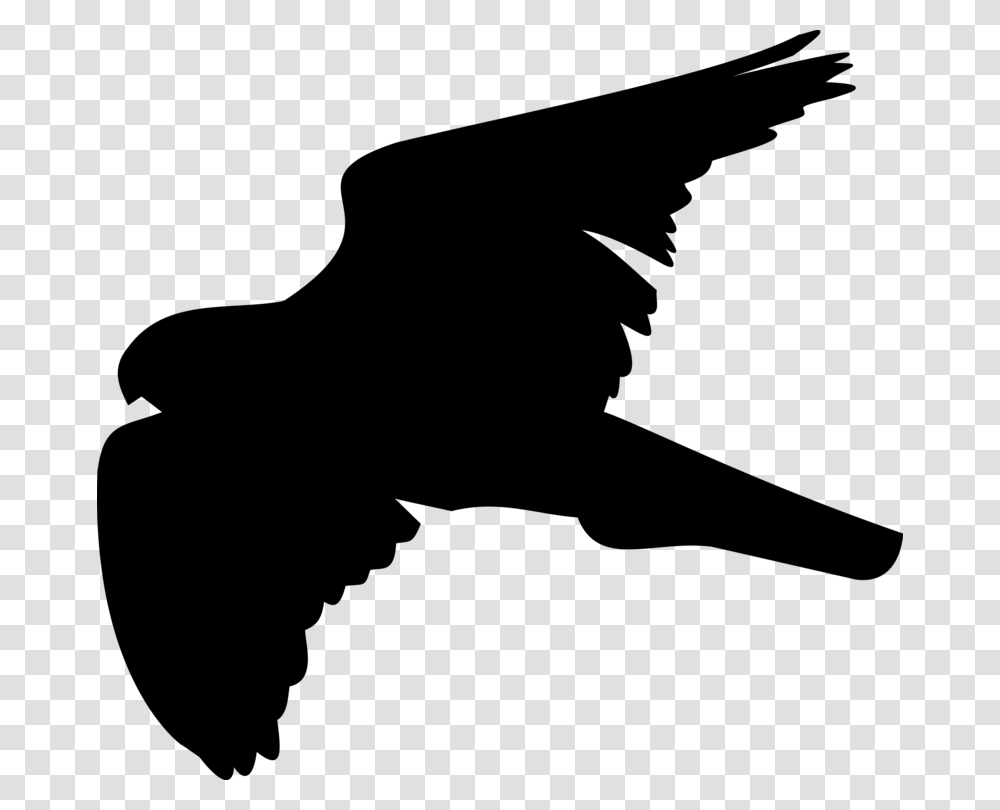Bird Hawk Shadow Silhouette Computer Icons, Gray, World Of Warcraft Transparent Png