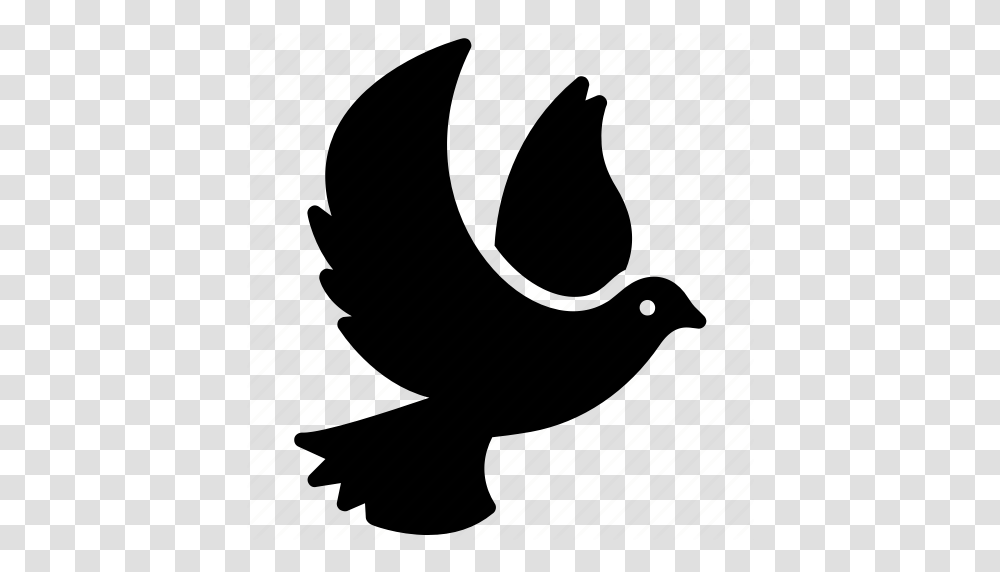 Bird Holy Spirit Peace Dove Religious Bird Religious Spirit, Piano, Leisure Activities, Musical Instrument, Animal Transparent Png