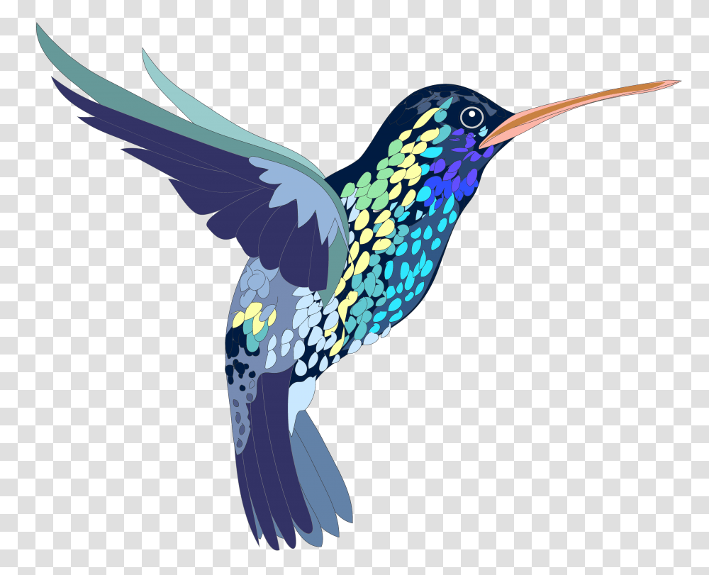 Bird Hummingbird Colorful Humming Bird, Animal, Flying Transparent Png