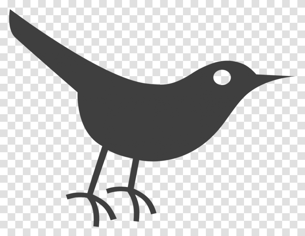 Bird Icon, Animal, Reptile, Silhouette, Blackbird Transparent Png