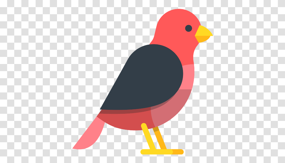Bird Icon Bird Flat Icon, Finch, Animal, Blackbird, Agelaius Transparent Png