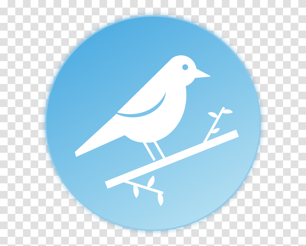 Bird Icon Old World Flycatchers, Animal, Outdoors, Nature, Text Transparent Png