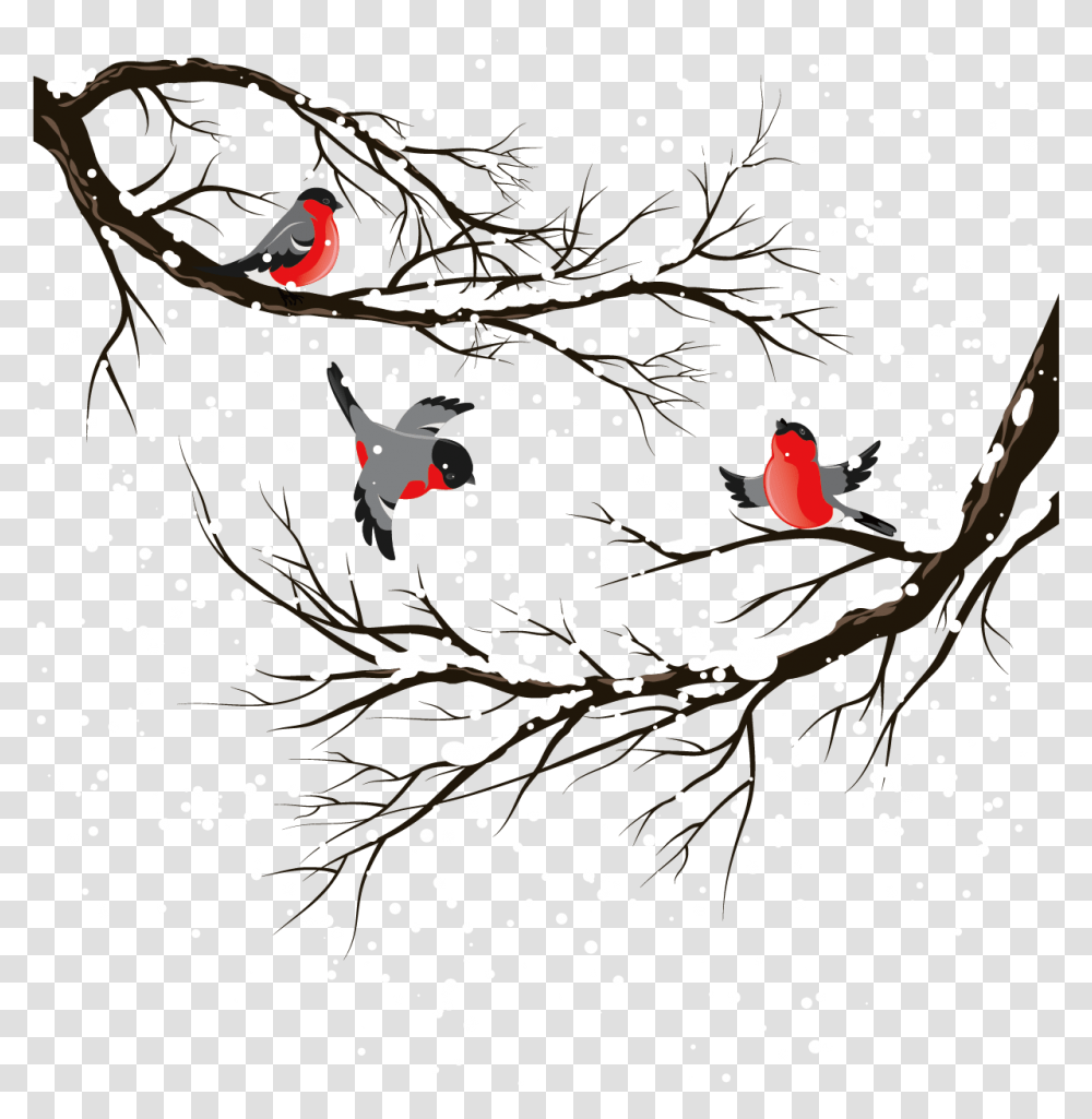 Bird Illustration Trees Transprent Winter Clipart Background, Cardinal, Animal Transparent Png