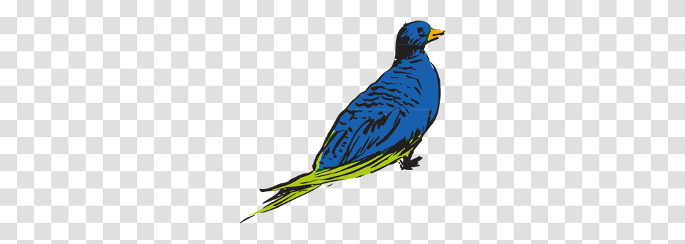 Bird Images Icon Cliparts, Animal, Beak, Parrot, Bluebird Transparent Png