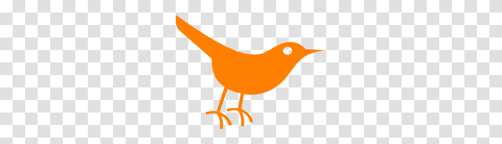 Bird Images Icon Cliparts, Animal, Canary Transparent Png