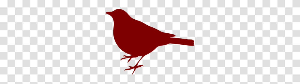 Bird Images Icon Cliparts, Animal, Finch, Person, Human Transparent Png