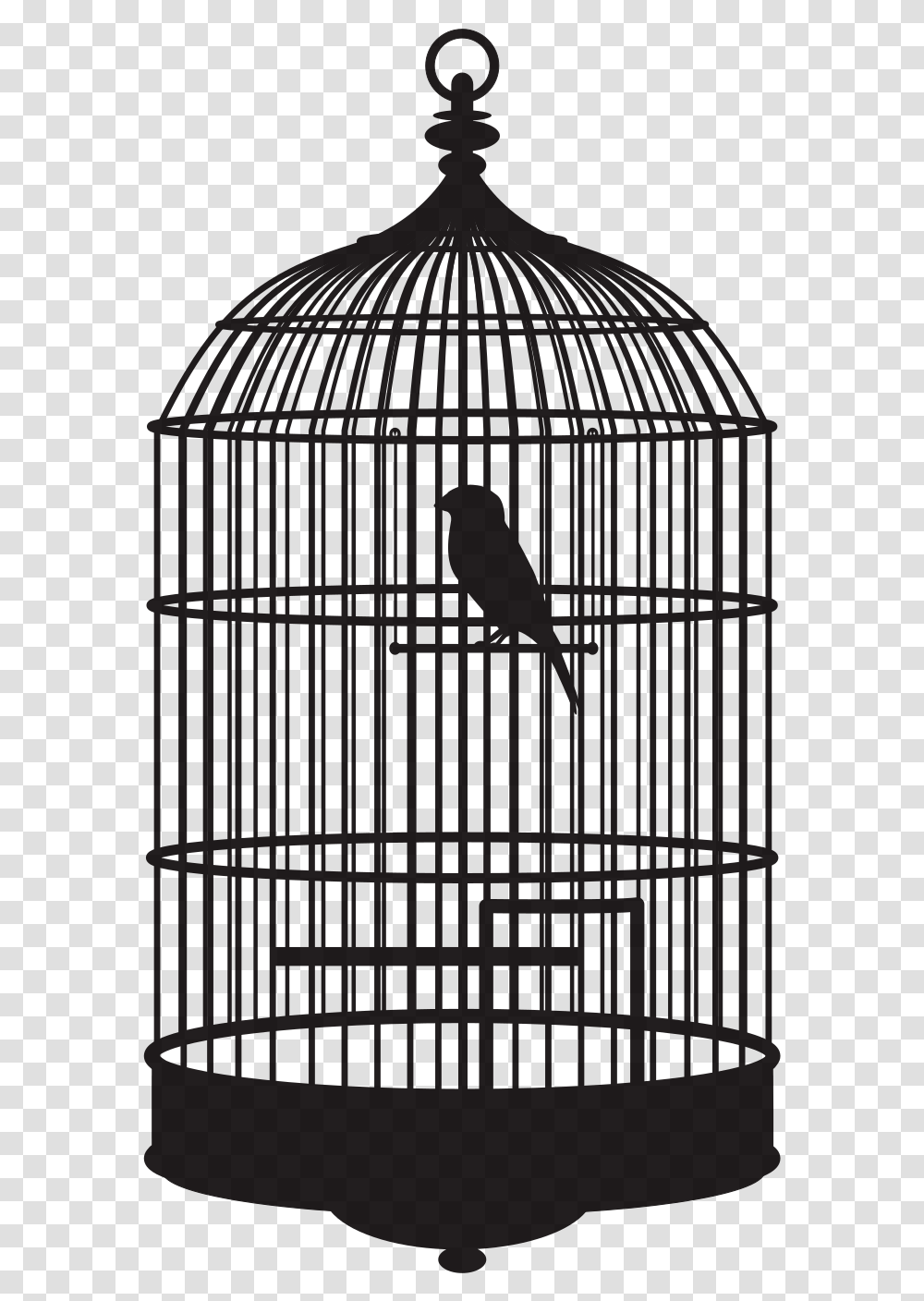 Bird In A Cage Bird In Cage Bird In Cage Gif, Outdoors, Nature, Tie Transparent Png