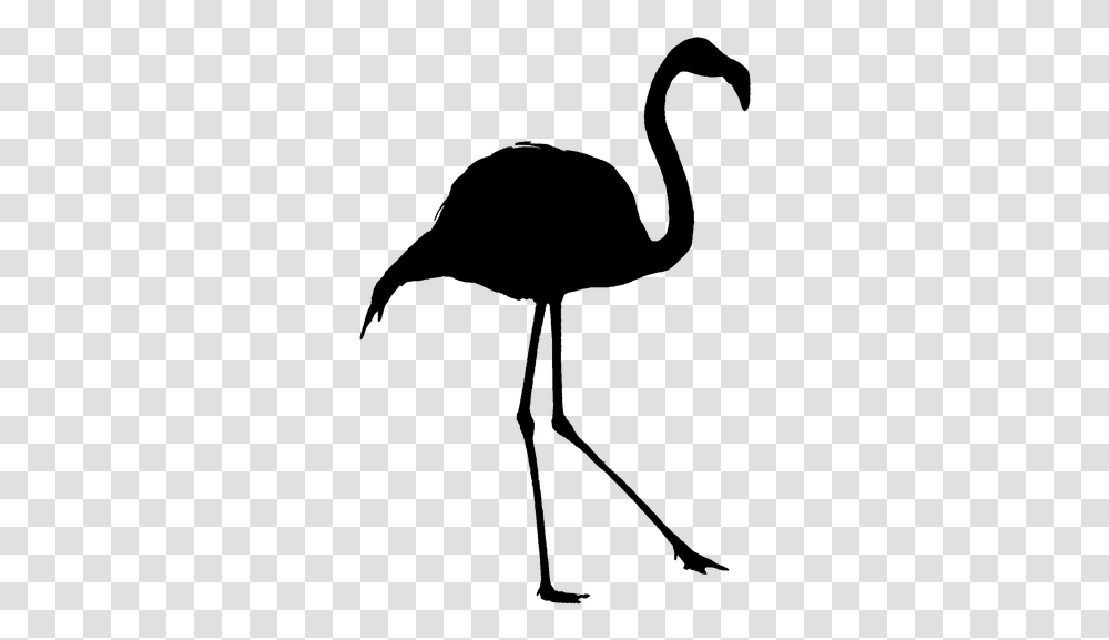 Bird In Black Outline, Nature, Outdoors, Outer Space, Astronomy Transparent Png