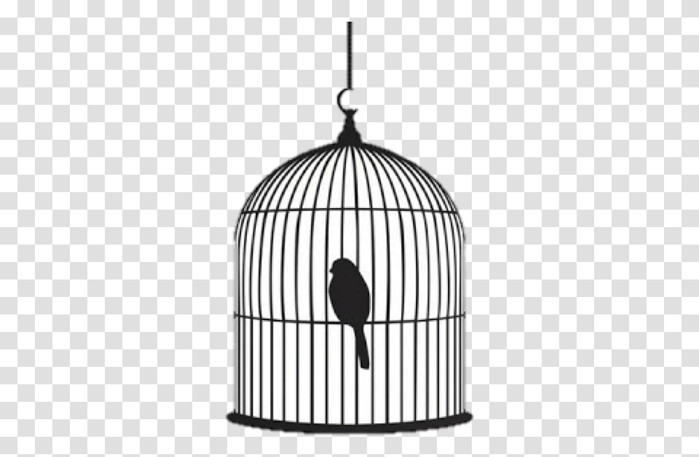 Bird In Cage Silhouette, Lamp, Architecture, Building, Window Transparent Png