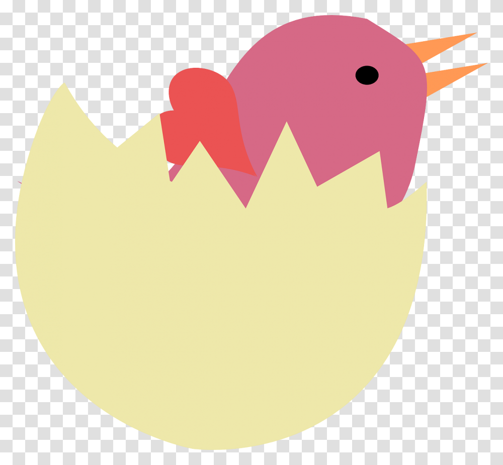Bird In Egg Clipart, Food, Animal, Diaper, Kiwi Bird Transparent Png