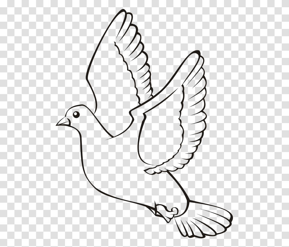 Bird In Flight 4 Witte Duif Kleurplaat, Animal, Eagle, Waterfowl Transparent Png
