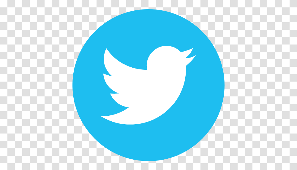 Bird Logo Social Media Tweet Logo Twitter Social Media, Symbol, Trademark, Shark, Fish Transparent Png
