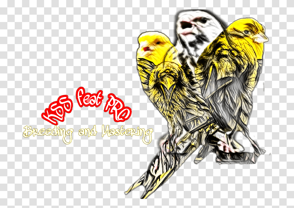 Bird Logo Team Canary Finch Blackthroat Budgie, Animal, Person, Tiger, Wildlife Transparent Png