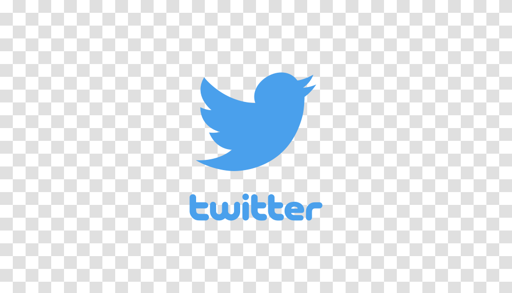 Bird Logo Twitter Twitter Logo Icon, Trademark, Animal, Finch Transparent Png