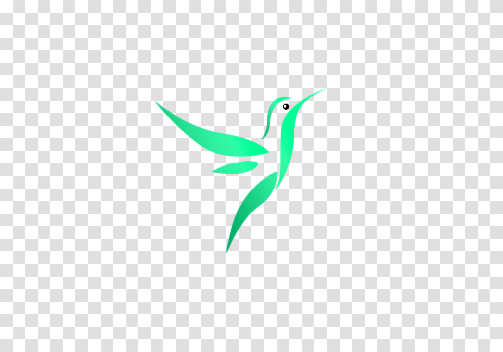 Bird Logo Vector Design Bird Logo Vector Bird Logo Samples, Animal, Bee Eater, Bluebird, Hummingbird Transparent Png