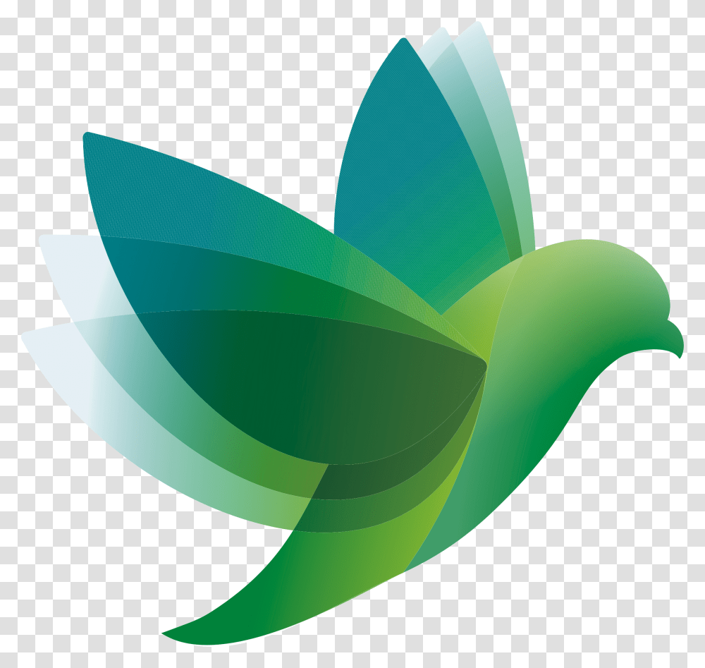 Bird Logo Vector Vector Graphics, Green, Leaf, Plant, Tape Transparent Png