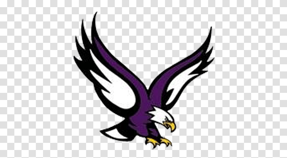 Bird Logos Colour Schemes Seahawks Eagles Color Eau Eagle Boston College Mascot, Animal, Symbol, Emblem Transparent Png