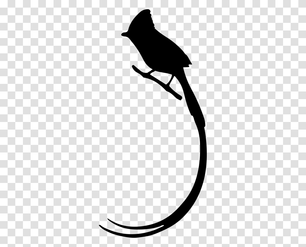 Bird Long Tail Owl Silhouette, Gray, World Of Warcraft Transparent Png