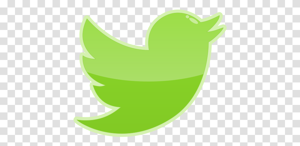 Bird Media Social Twitter Icon Illustration, Plant, Food, Fruit, Spiral Transparent Png