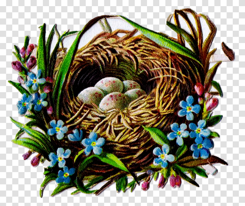 Bird Nest And Egg Graphics Bird Nest, Pattern Transparent Png