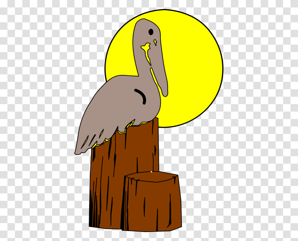 Bird Nest Brown Pelican Drawing Animal, Beak, Dodo, Stork Transparent Png
