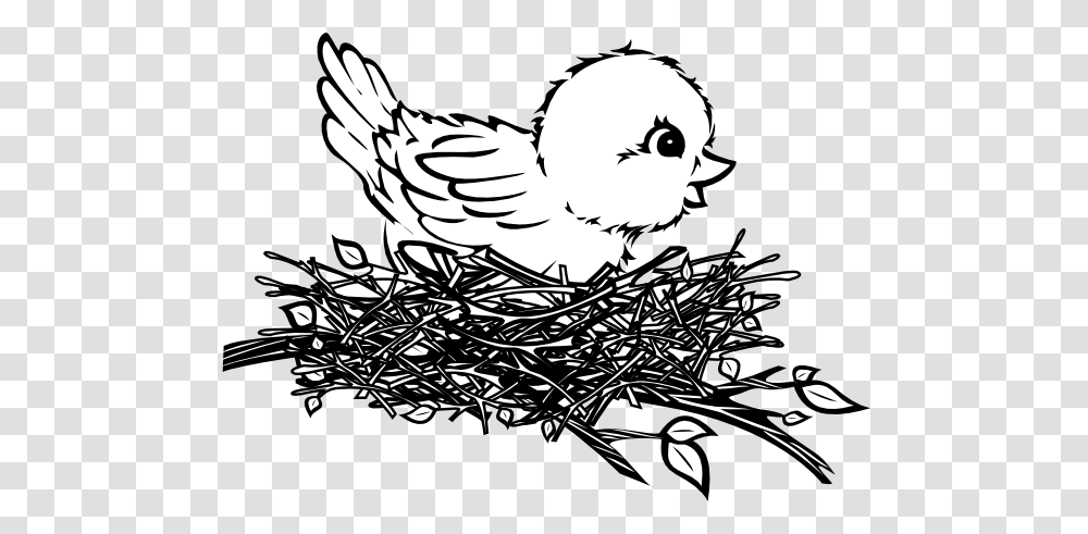Bird Nest Coloring, Animal, Poultry, Fowl, Chicken Transparent Png