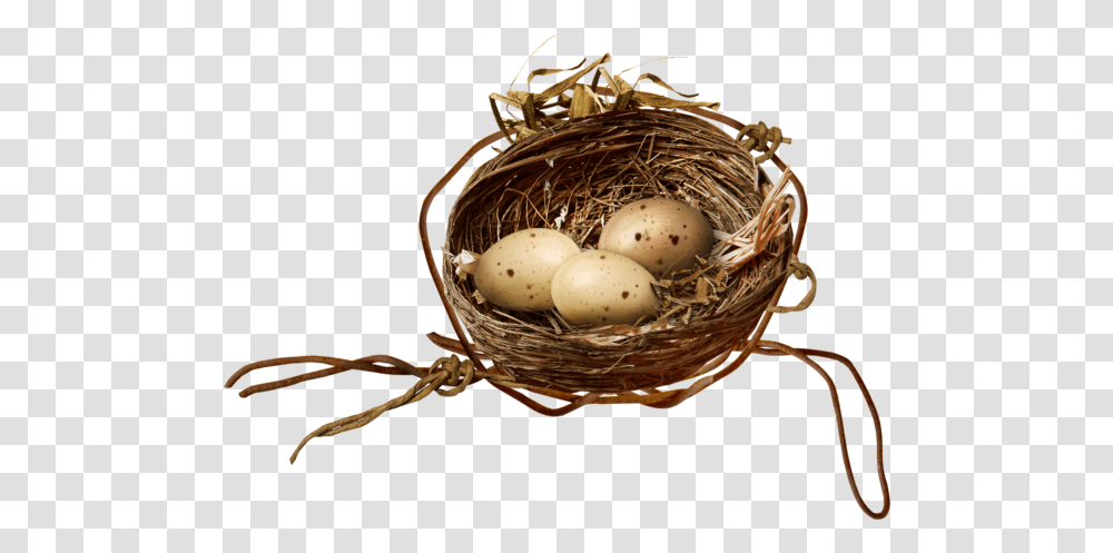 Bird Nest Egg For Easter 1937x1409 Twig, Food Transparent Png