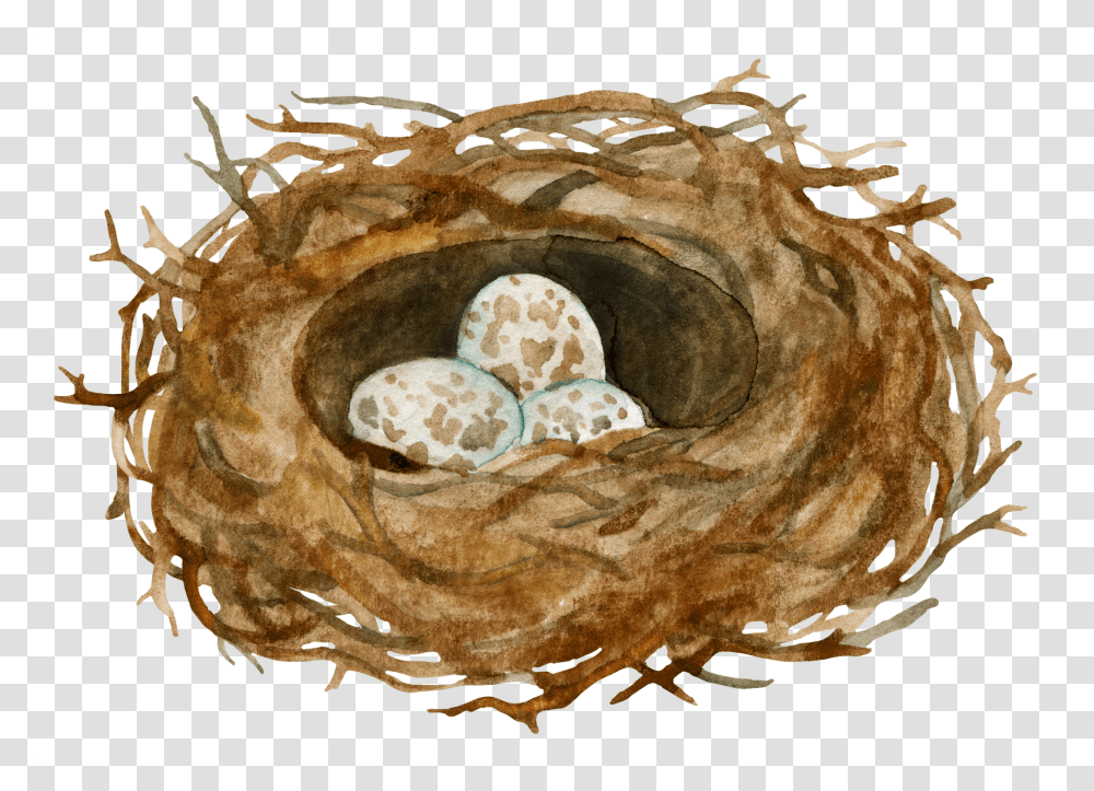 Bird Nest, Fungus, Food, Painting Transparent Png