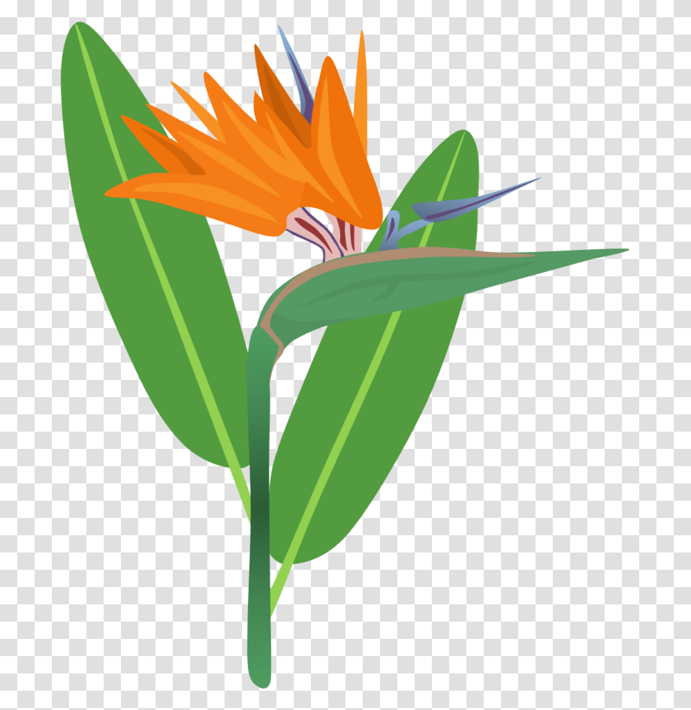 Bird Of Flower For Free Bird Of Paradise Clipart, Plant, Blossom, Vegetable, Food Transparent Png
