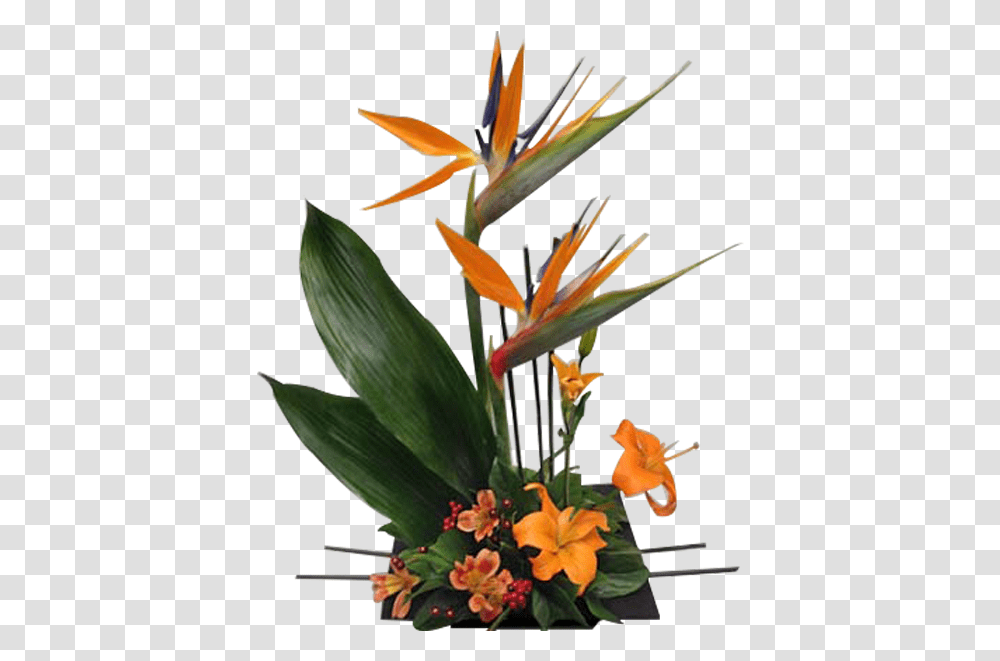 Bird Of Paradise Floral, Plant, Ikebana, Vase Transparent Png