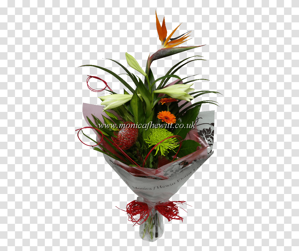 Bird Of Paradise Houseplant, Ikebana, Vase, Ornament Transparent Png