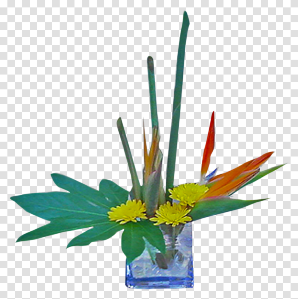 Bird Of Paradise Plant Bouquet, Flower, Flower Arrangement, Ikebana Transparent Png