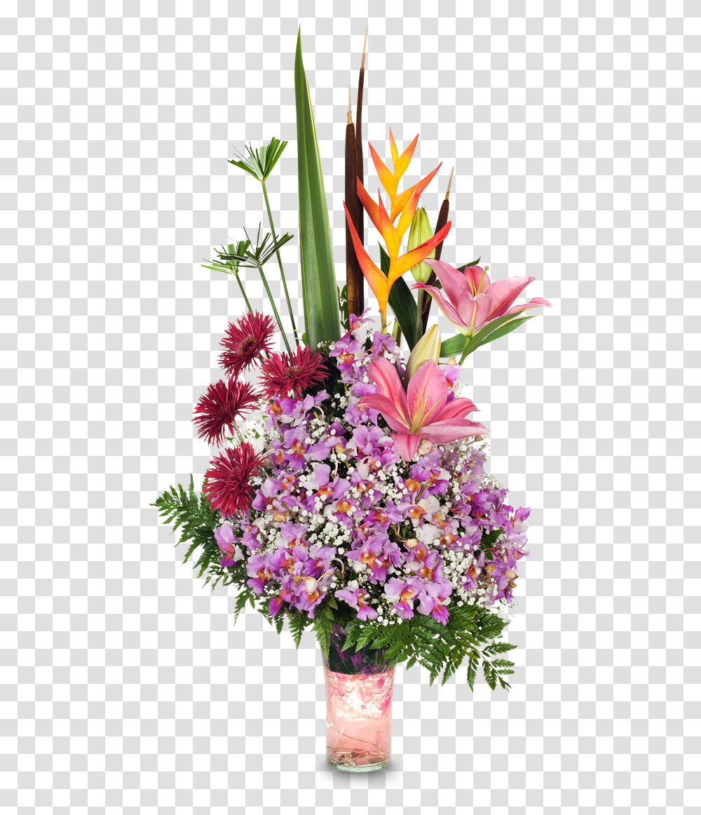 Bird Of Paradise, Plant, Flower, Blossom, Flower Arrangement Transparent Png
