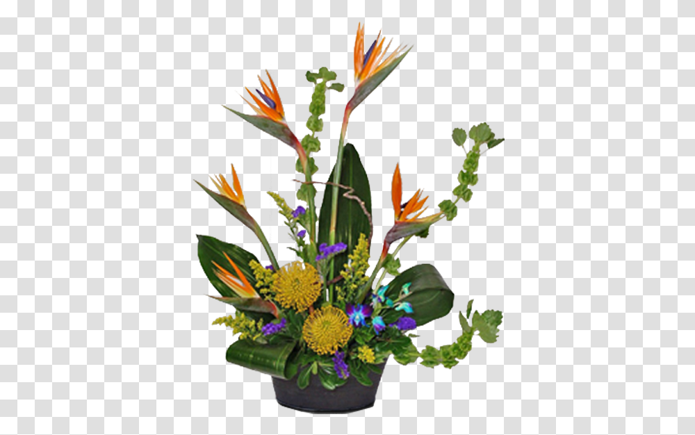Bird Of Paradise, Plant, Ikebana, Vase Transparent Png