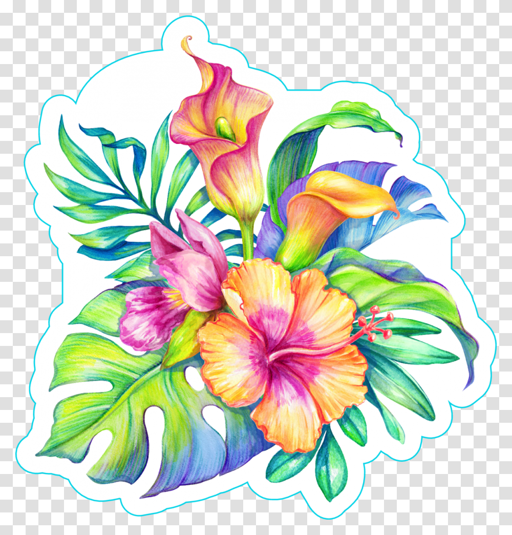 Bird Of Paradise Plant Watercolor Floral Illustration Tropical Flowers, Floral Design, Pattern Transparent Png