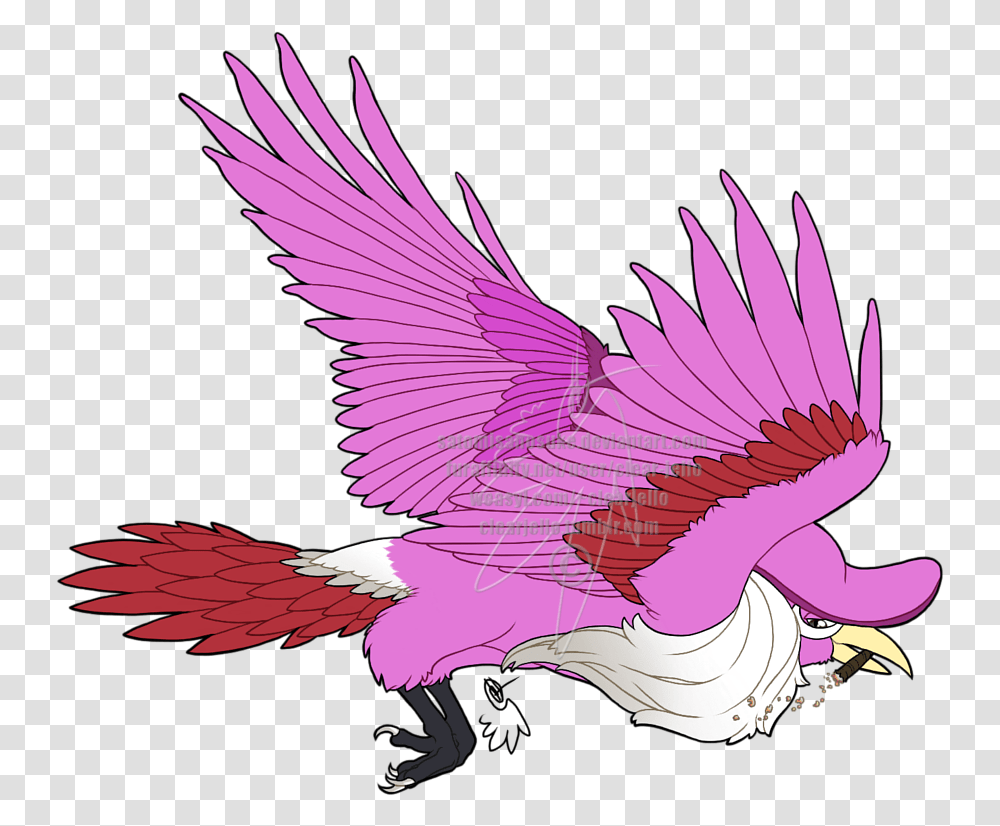 Bird Of Prey, Animal, Eagle Transparent Png
